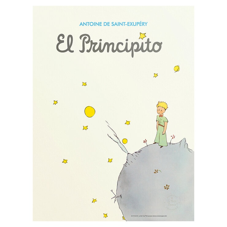 Black Is Color, Cuadro Decorativo El Principito, Enmarcado — Imagen 3 de 3