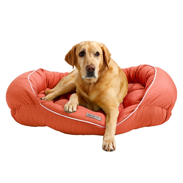 Jax & Bones Cama para Perro — Imagen 1 de 2