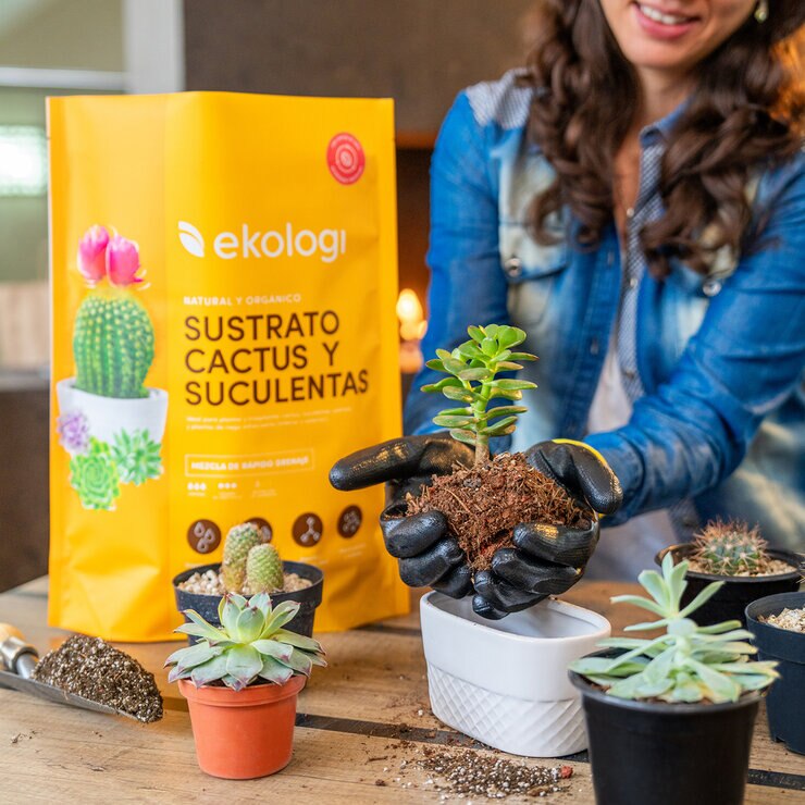 Ekologi, Sustrato para Cactus y Suculentas 2 piezas de 3.36kg — Imagen 3 de 4