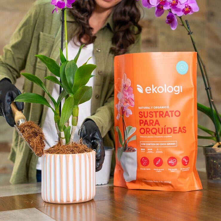Ekologi, Sustrato para Orquideas 2 piezas de 900g — Imagen 2 de 4