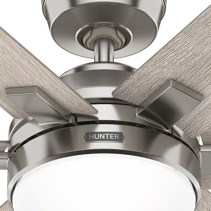 Hunter, Ventilador de Techo Georgetown 52" Acabado Níquel Cepillado — Imagen 4 de 4