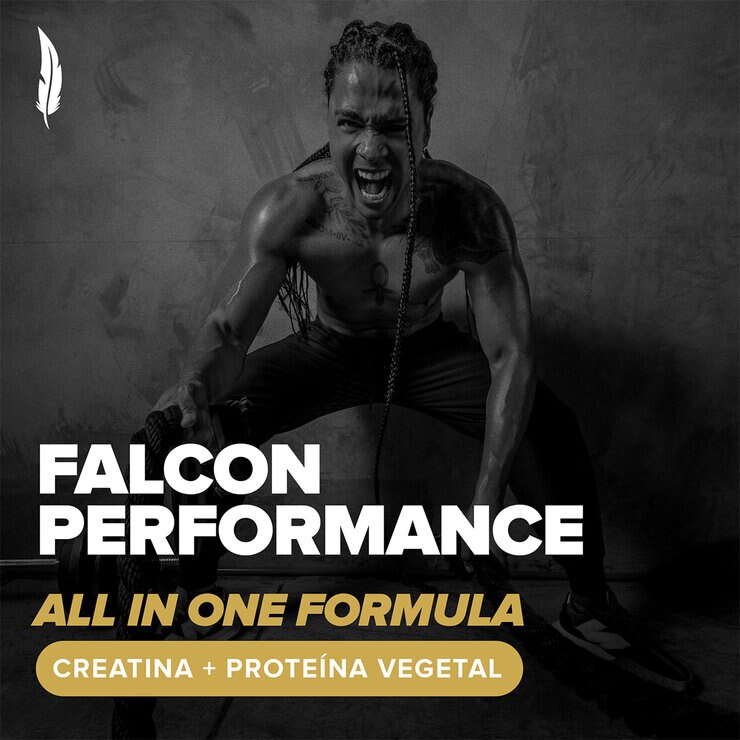Birdman Falcon Performance Proteína Vegetal Sabor Vainilla 2.1 kg — Imagen 2 de 4