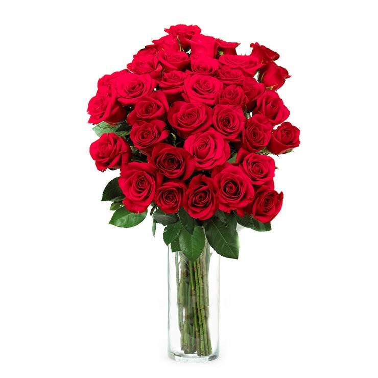 Chiltepec, Bouquet de 36 Rosas Rojas con Florero de Vidrio [Preventa] — Imagen 1 de 2