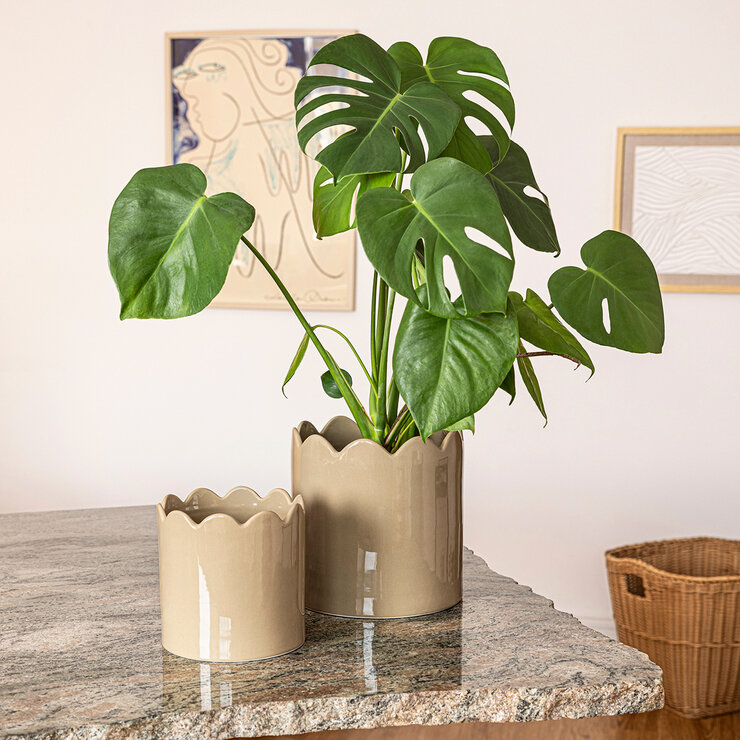 Over & Back, Inspiration Set de 2 Macetas Beige — Imagen 1 de 4