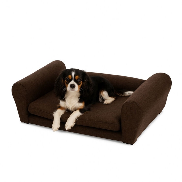 Maypet, Sillón/Cama Tamaño Pequeño, Estilo Minimalista para Mascota, Color Café o Color Verde