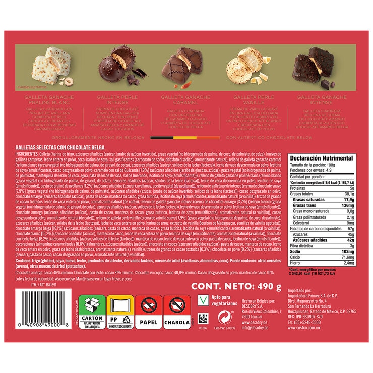 Desobry Surtido de Galletas Selectas con Chocolate Belga 490 g — Imagen 3 de 3