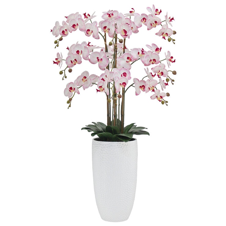 CG Hunter, Arreglo de Orquideas de Aspecto Natural — Imagen 2 de 4