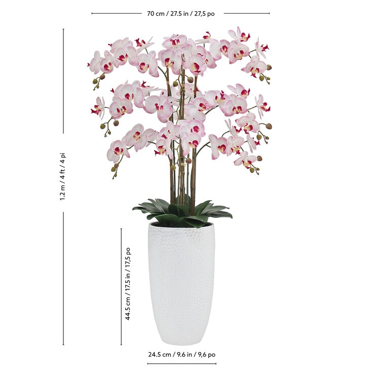 CG Hunter, Arreglo de Orquideas de Aspecto Natural — Imagen 3 de 4
