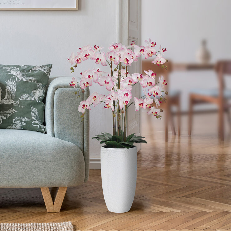CG Hunter, Arreglo de Orquideas de Aspecto Natural — Imagen 1 de 4