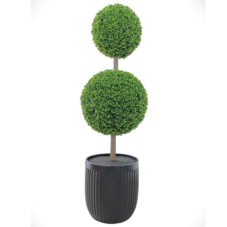CG Hunter, Árbol Topiario de Boj de Aspecto Natural — Imagen 2 de 4
