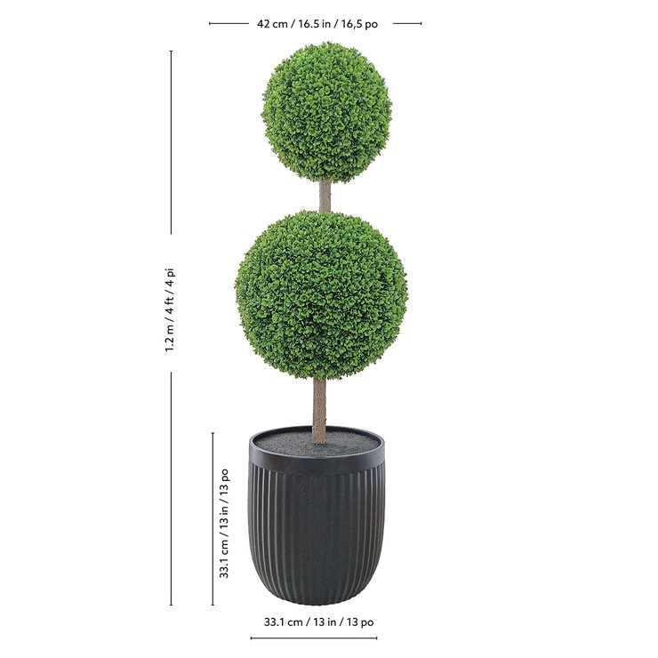 CG Hunter, Árbol Topiario de Boj de Aspecto Natural — Imagen 3 de 4