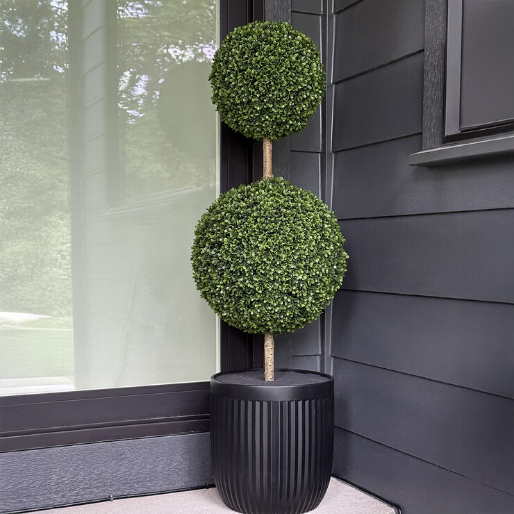 CG Hunter, Árbol Topiario de Boj de Aspecto Natural — Imagen 4 de 4
