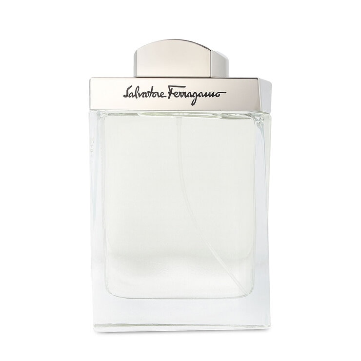 Salvatore Ferragamo Pour Homme 100 ml
