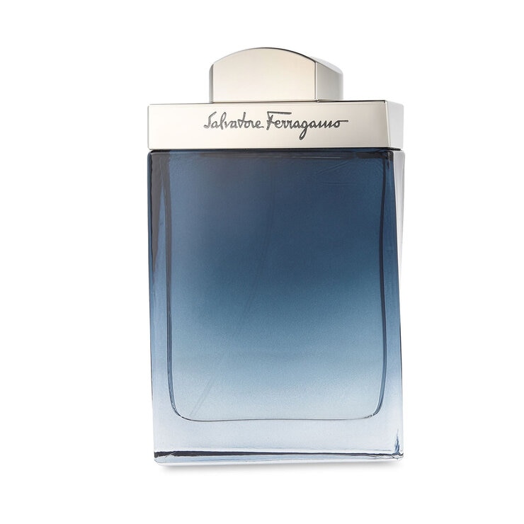 Ferragamo Subtil 100 ml — Imagen 1 de 3