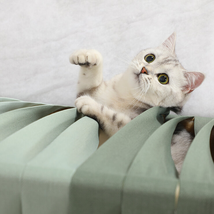 SunnyPet Teepee para Gato — Imagen 4 de 4