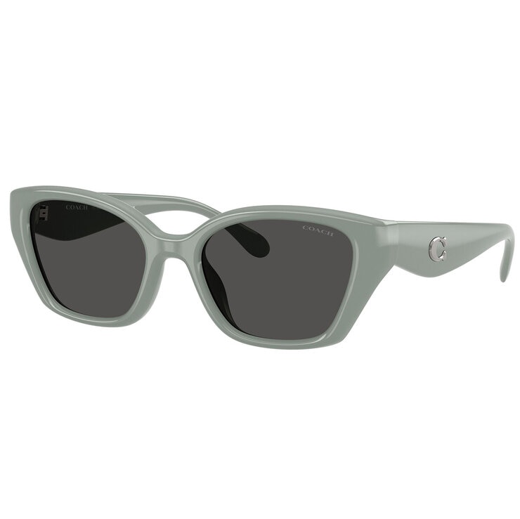 Coach 0HC8434U Lentes de Sol — Imagen 3 de 3