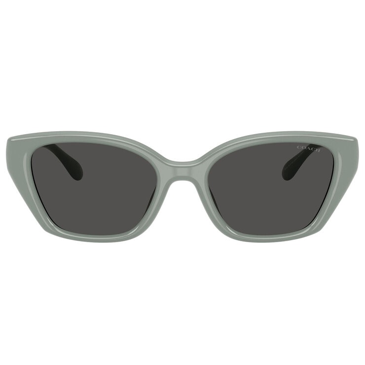 Coach 0HC8434U Lentes de Sol