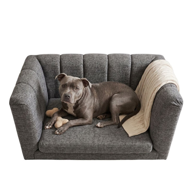 Maypet, Sofa para Mascota, Color Gris, Capacidad hasta 20 Kg — Imagen 3 de 4