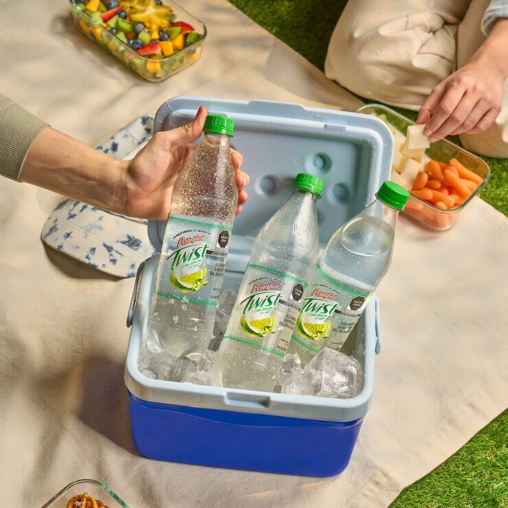 Peñafiel Twist Agua Mineral Sabor Limón 12 pzas de 600 ml — Imagen 3 de 3