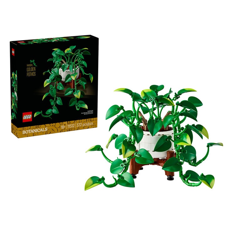 LEGO Botanicals Poto Dorado Gigante