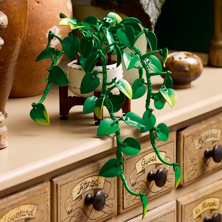 LEGO Botanicals Poto Dorado Gigante — Imagen 3 de 4