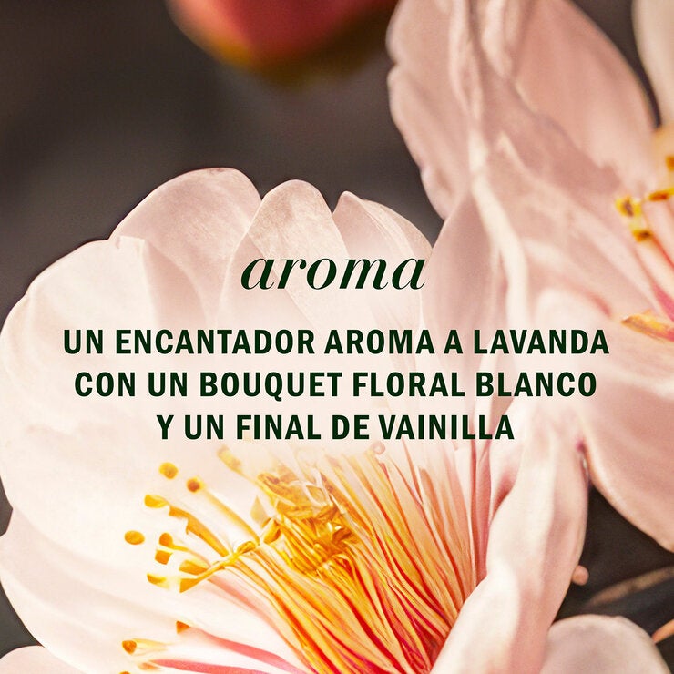 Herbal Essences Shampoo Argan Oil & Green Tea 1 L — Imagen 2 de 4