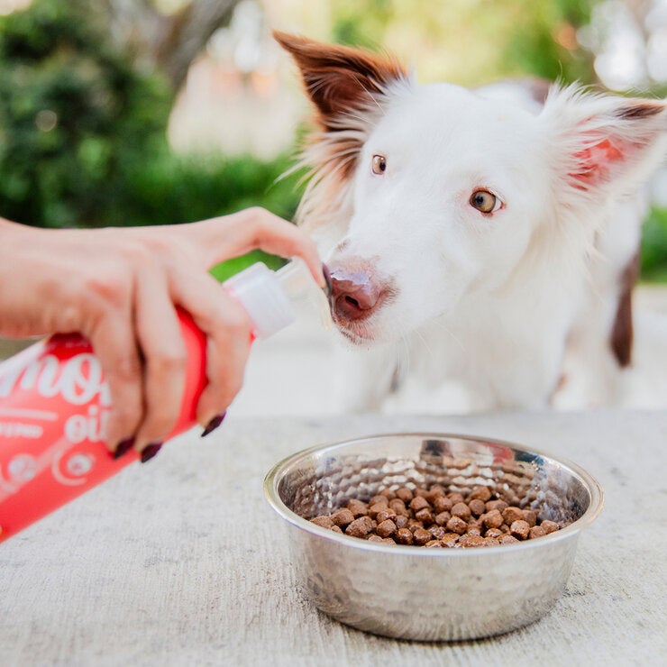 Waggy's Aceite de Salmón para Mascotas 650 ml — Imagen 2 de 4