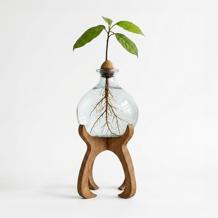 Estudio Floga, Aguacatero de Vidrio, 1 Pieza. — Imagen 1 de 4