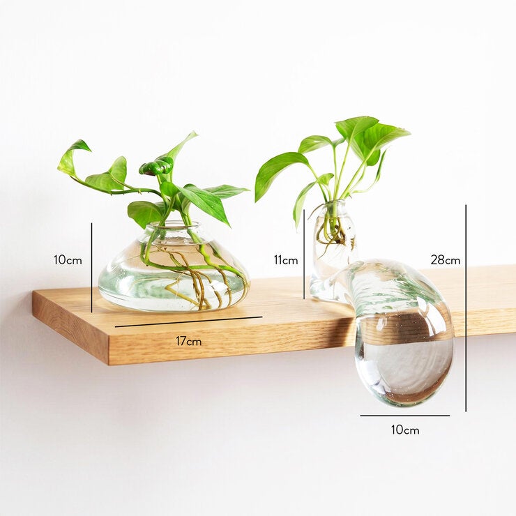 Estudio Floga, Macetas de Vidrio Soplado en forma de Gota, 2 Piezas — Imagen 2 de 4