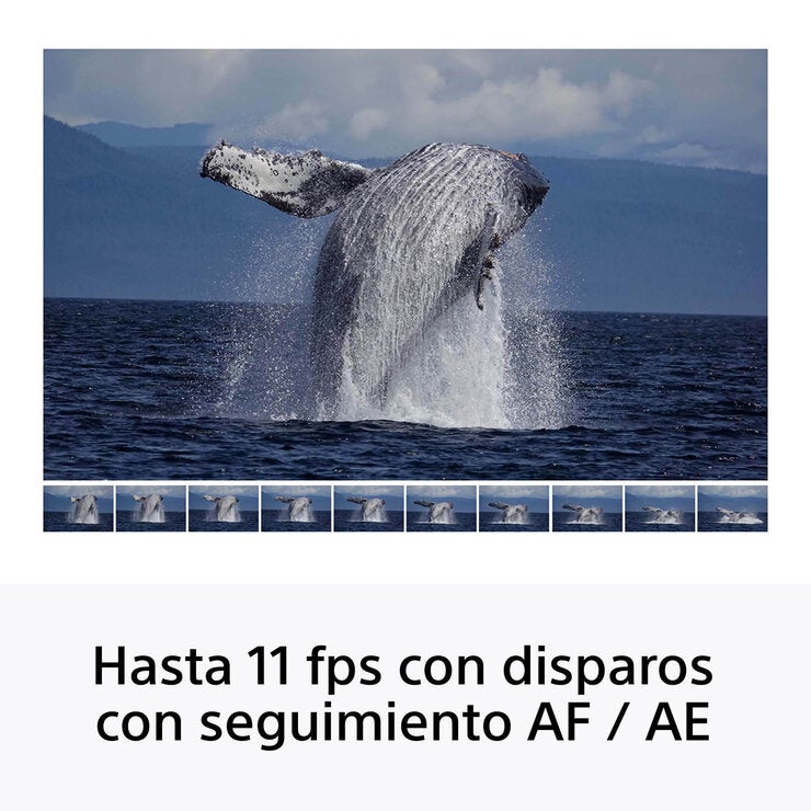 Sony Cámara Digital Mirrorless APS-C ILCE-6100K + Lente SELP16502 — Imagen 4 de 4