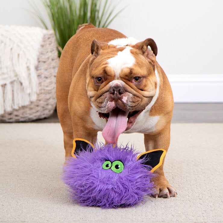 Go Dog Juguete para Perro 2 pzas — Imagen 2 de 3