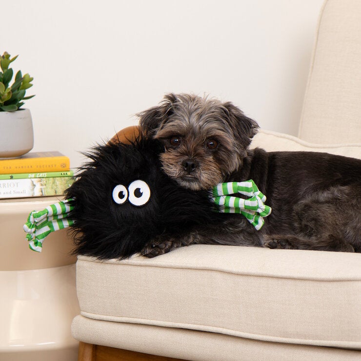 Go Dog Juguete para Perro 2 pzas — Imagen 3 de 3
