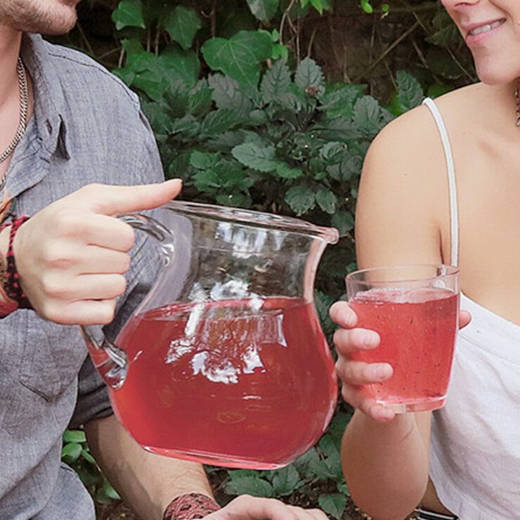 Zaaté Probitotea Kombucha Fresa-Hierbabuena 700 g — Imagen 3 de 4