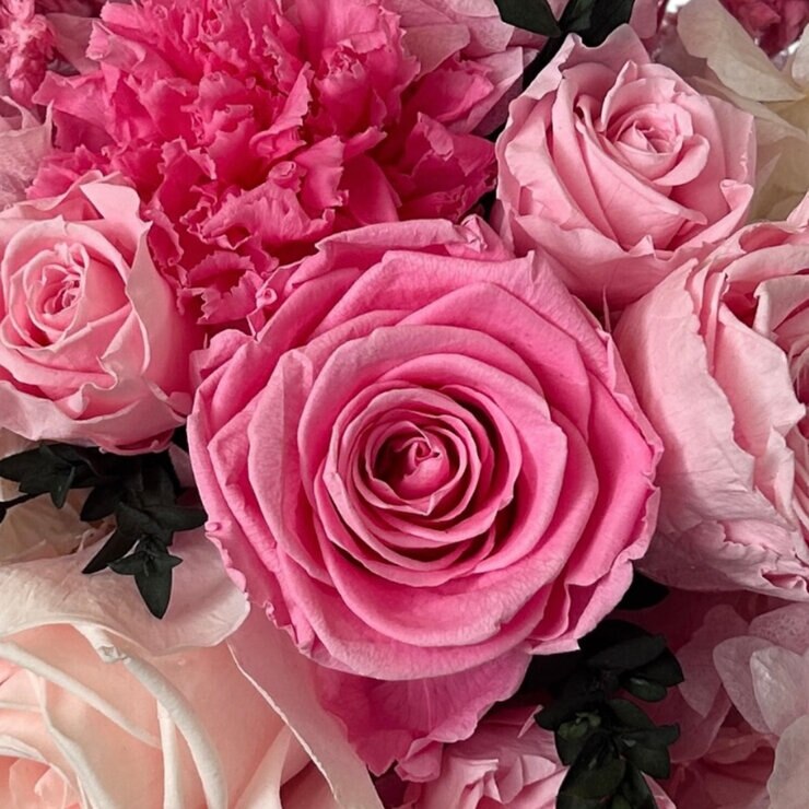 Alive, Bouquet Mix Rosa, Caja Negra, Duración 6 Meses. — Imagen 4 de 4