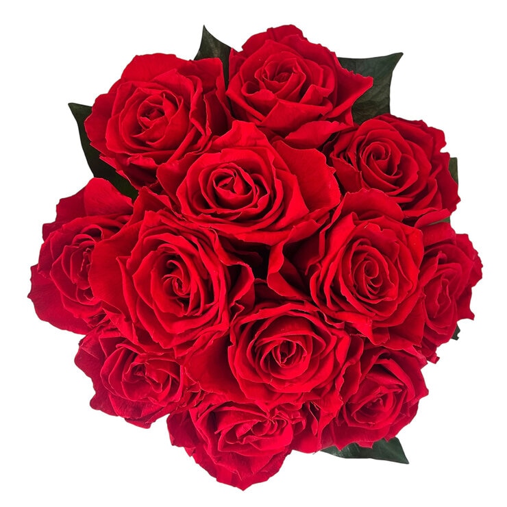 Alive,Bouquet 12 Rosas Rojas, Caja Negra, Duración 6 Meses. — Imagen 2 de 4