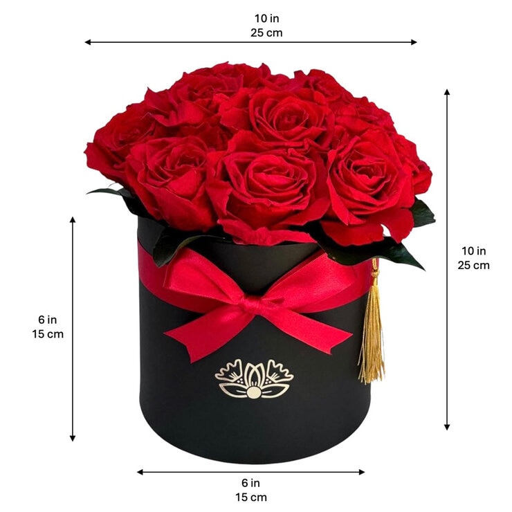 Alive,Bouquet 12 Rosas Rojas, Caja Negra, Duración 6 Meses. — Imagen 4 de 4