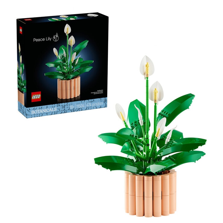 LEGO Botanicals, Varios Modelos