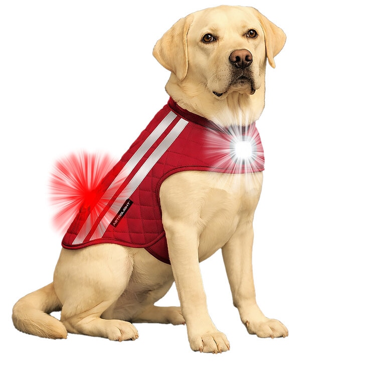 Astrolight Chaleco para Perro 1 pza