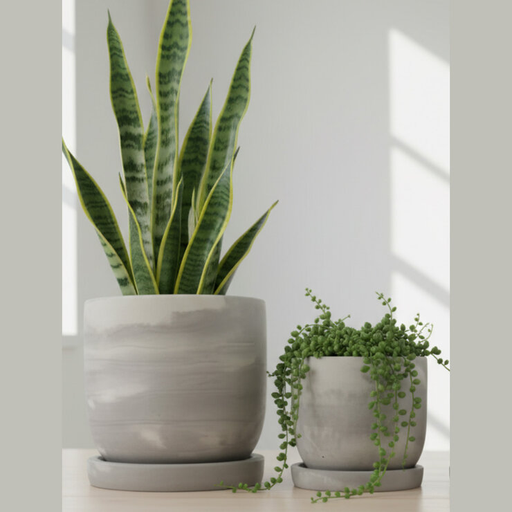 Zuccu Design, Tulip Marmoleada Macetas de Concreto, 2 piezas