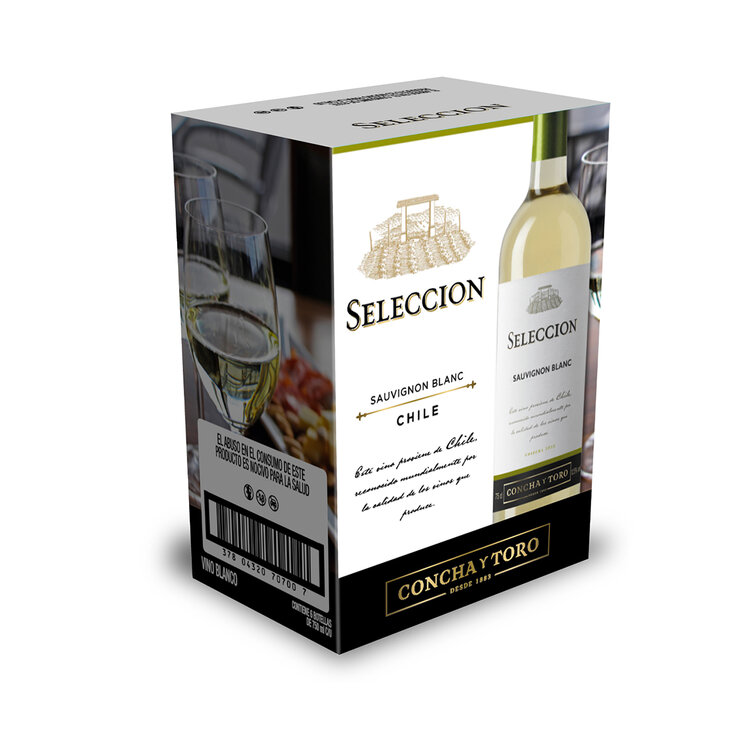 Vino Blanco Seleccion Concha y Toro 6/750ml — Imagen 2 de 4