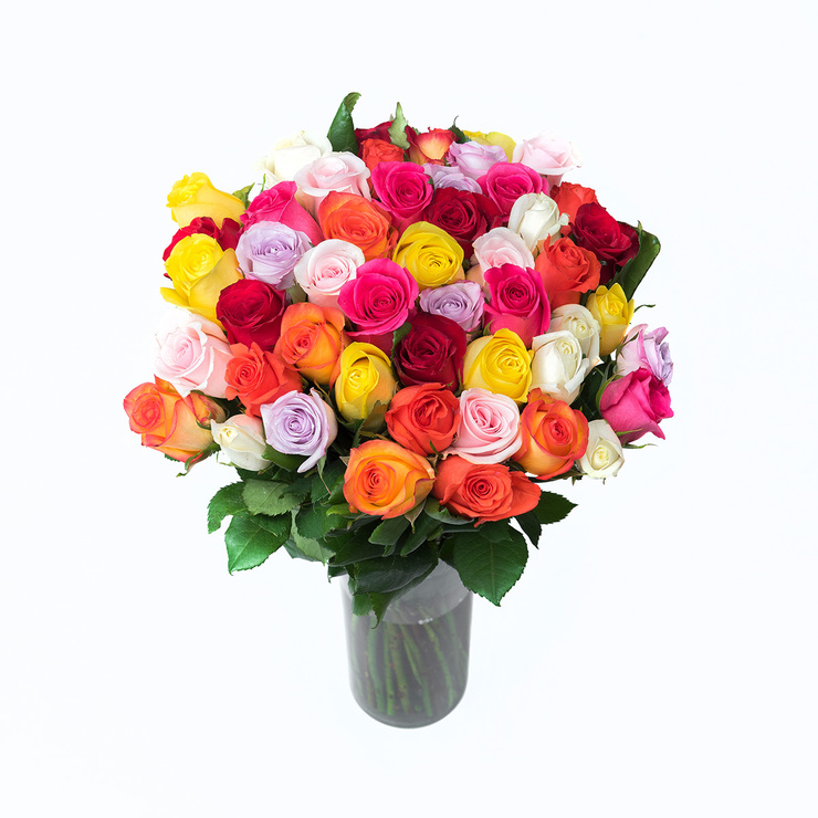 Chiltepec, Bouquet de 48 Rosas de Varios Colores — Imagen 2 de 3