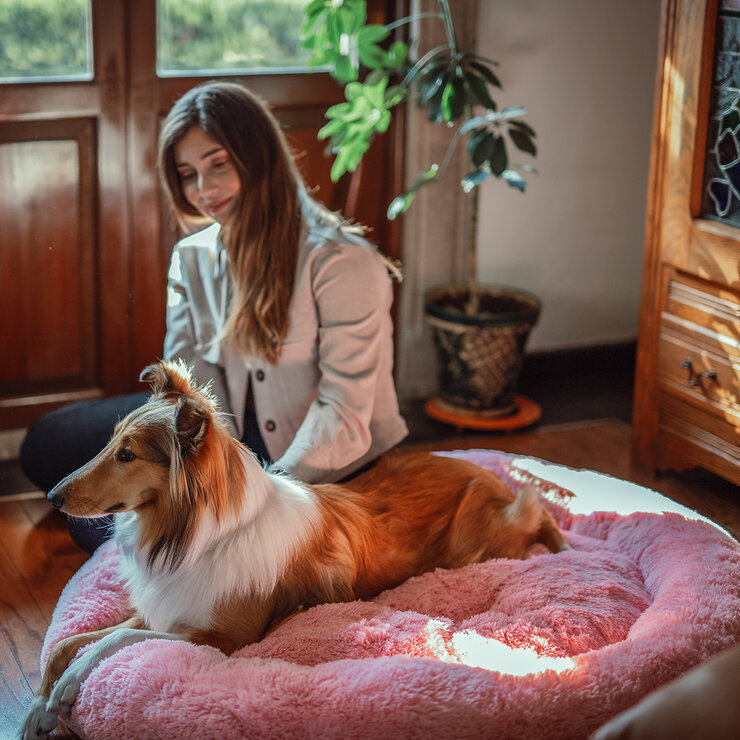 Bienestar Cama para Mascota 80 cm — Imagen 3 de 4