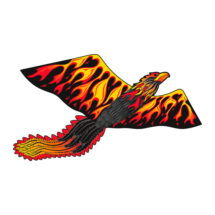 X Kites Papalote Tridimensional Varios Modelos — Imagen 4 de 4