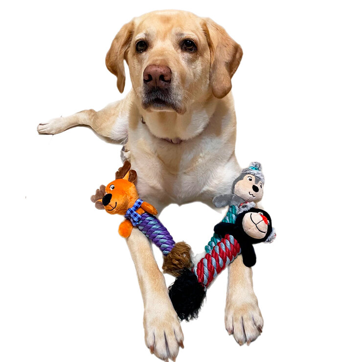 Think Dog Juguete para Perro Bundled Buddies 3 pzas — Imagen 4 de 4