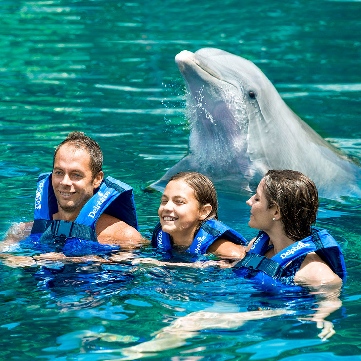Tour Paquete Adulto - Xel-Há + Nado con Delfines  — Imagen 2 de 4