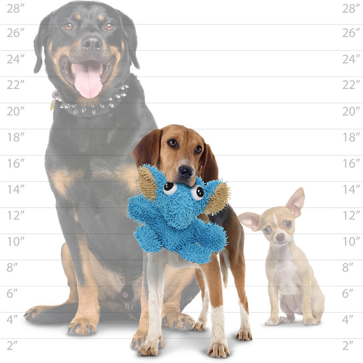 Mighty Massive Juguete para Perro 2 pzas  — Imagen 4 de 4
