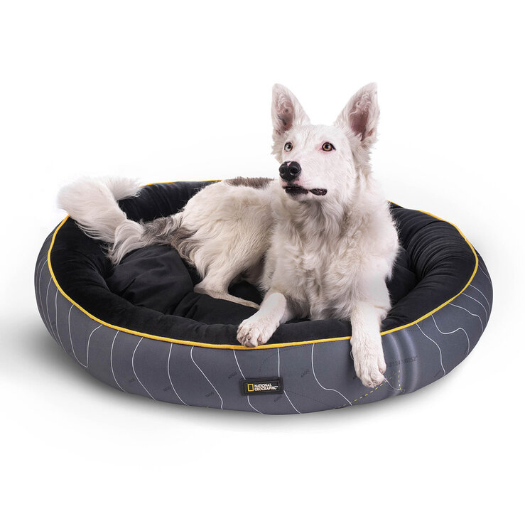 National Geographic Apolo Cama para Perro Topographic — Imagen 1 de 4