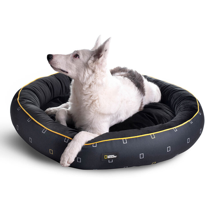National Geographic Apolo Cama para Perro Yellow Border — Imagen 1 de 4