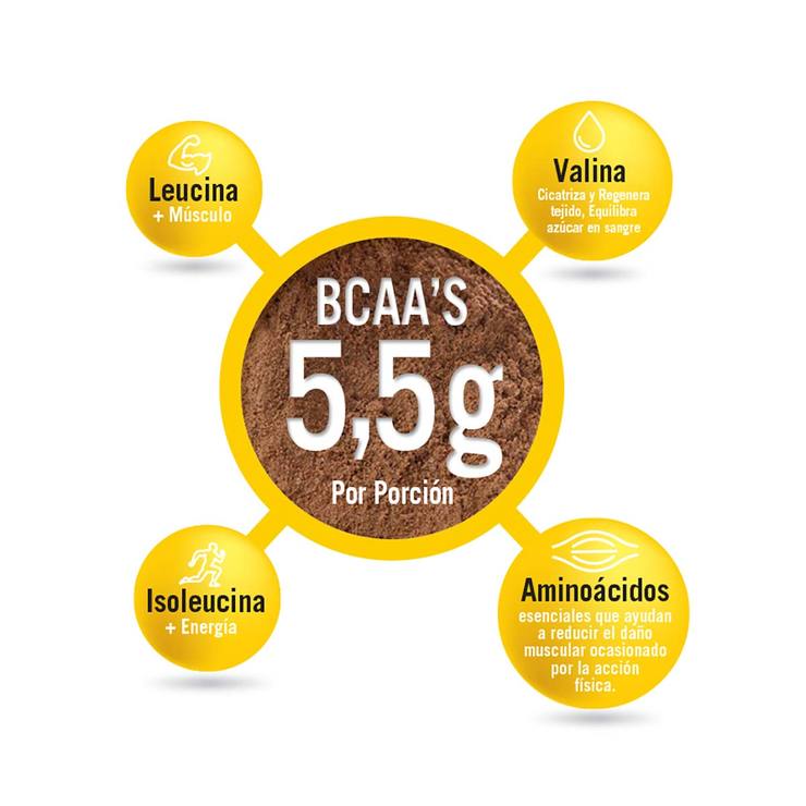 Proteína en Polvo Sabor Chocolate, Everlast Whey Isolate — Imagen 3 de 4