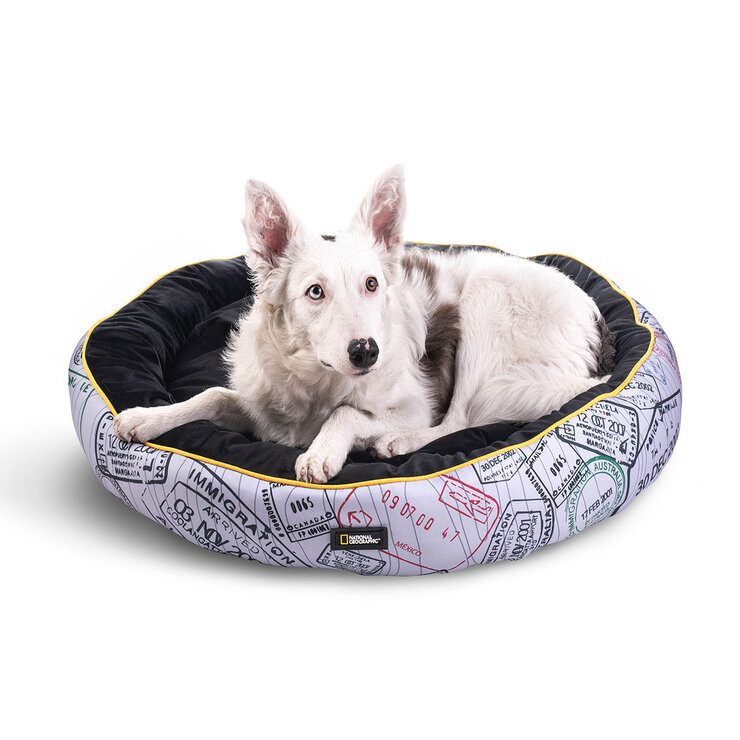 National Geographic Apolo Cama para Perro Passport — Imagen 1 de 4